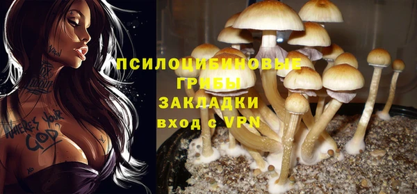 прущая мука Михайловск