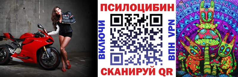 Галлюциногенные грибы MAGIC MUSHROOMS  что такое наркотик  Куровское 